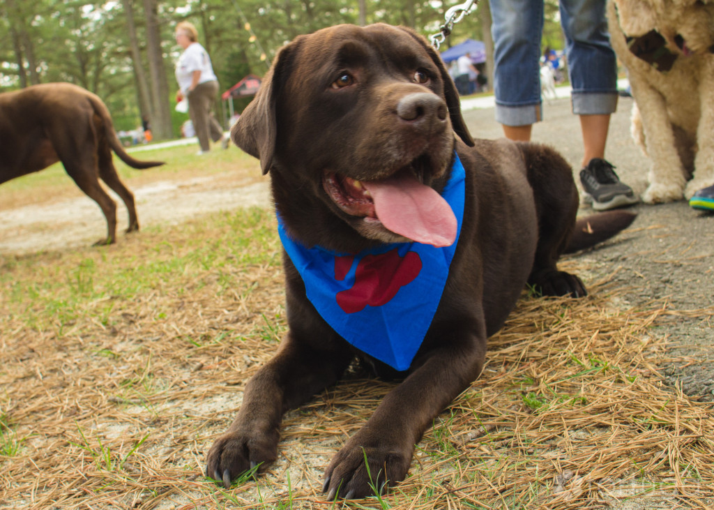 BarkInThePark-1