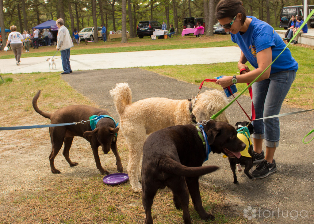 BarkInThePark-2