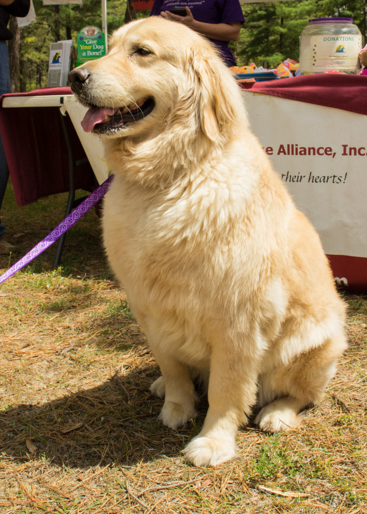 BarkInThePark-5